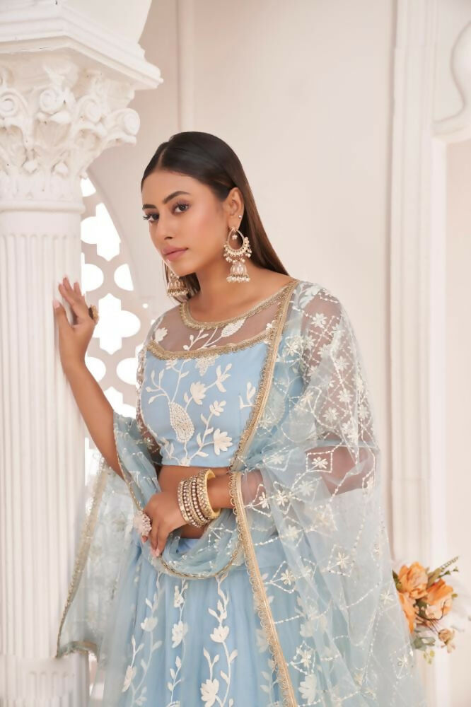 Light Sky Butterfly Net Lehenga Choli with White Thread & Zari