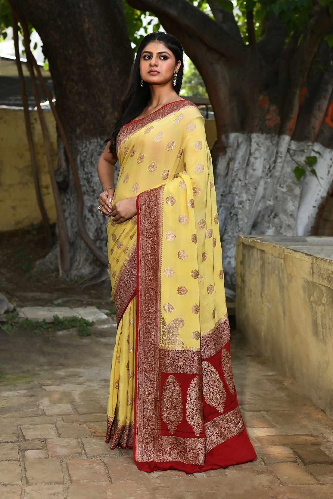 Pale Yellow Crepe Chiffon Banarasi Silk Handloom Saree