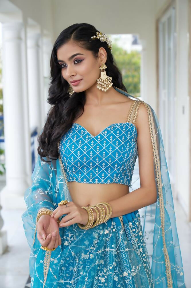 Sky Blue Butterfly Net Lehenga with Cotton Thread and Sequence Work
