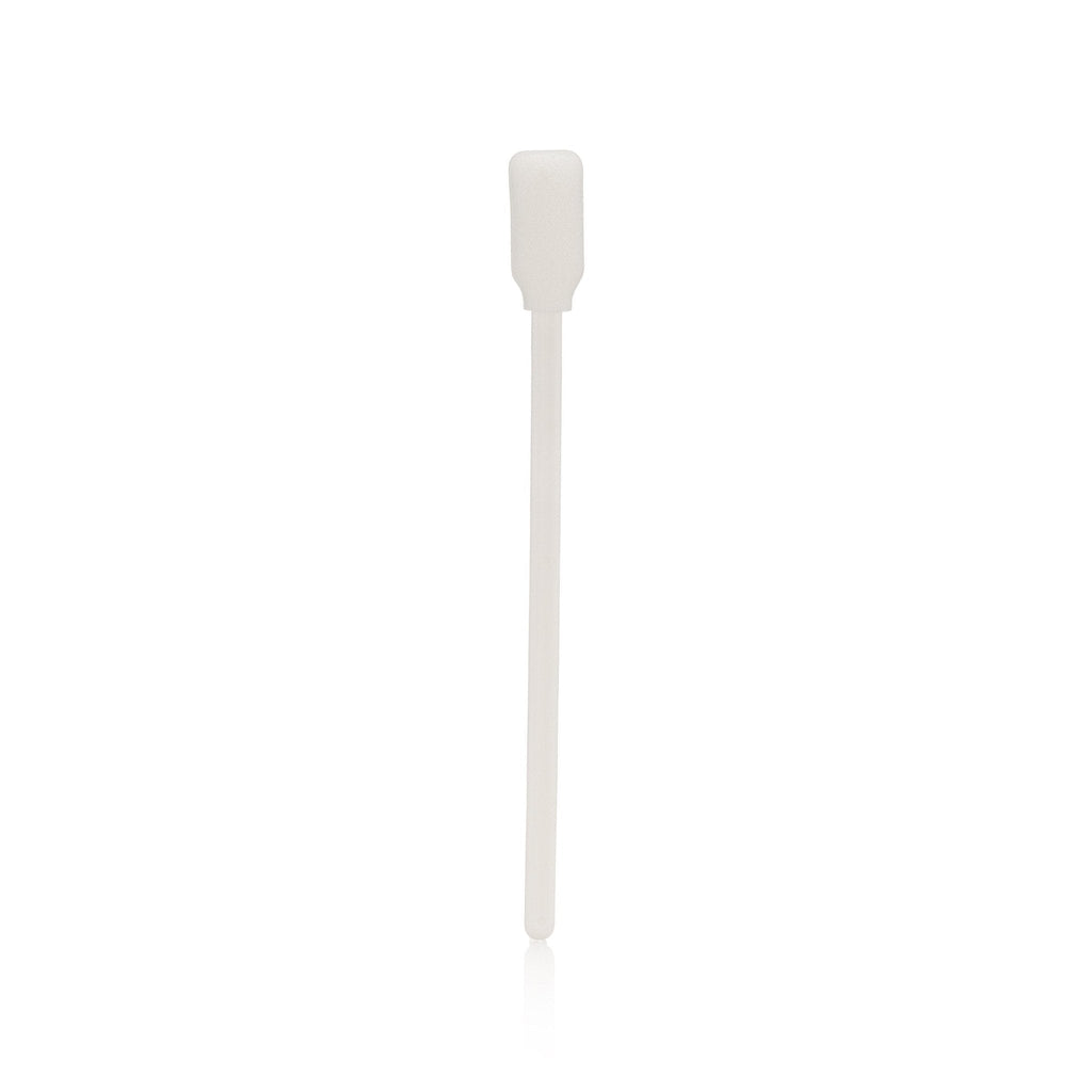 Professional Glue Applicator Brushes and Sponges Set