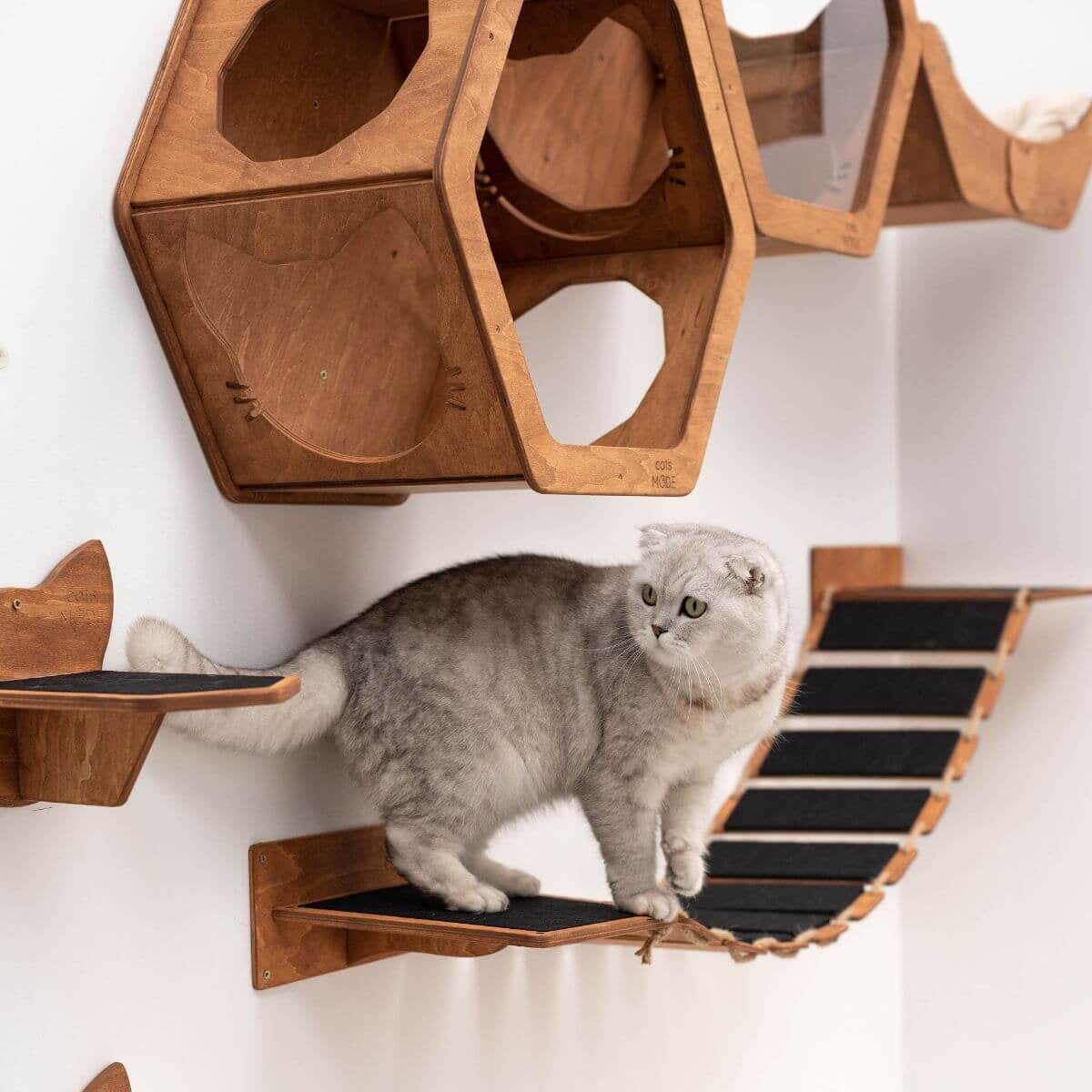 Oak Cat Rope Bridge Wall Mounted Pet Activity Center