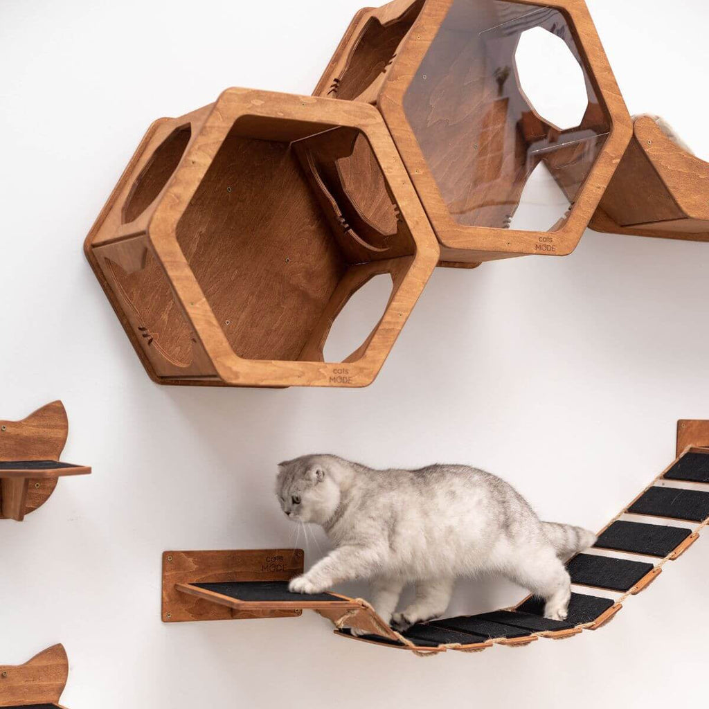 Oak Cat Rope Bridge Wall Mounted Pet Activity Center