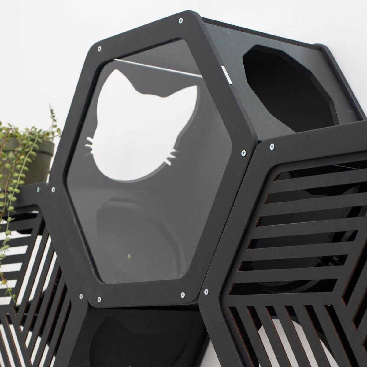 Black Wall Mounted Cat Shelves for Climbing and Exploration