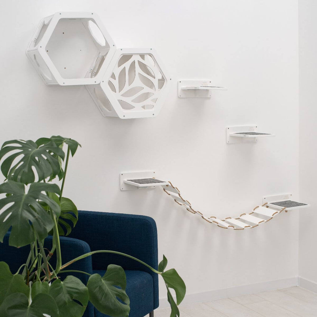 Wall-Mounted Cat Climbing Shelves for Indoor Play and Exercise
