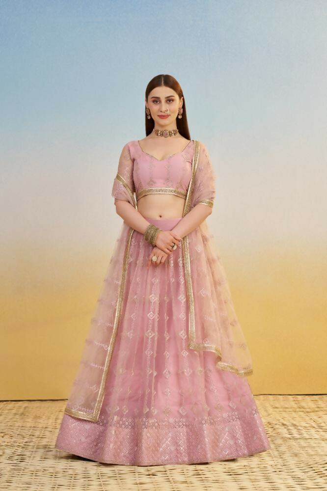 Pink Butterfly Net lehenga with detailed thread and sequence work