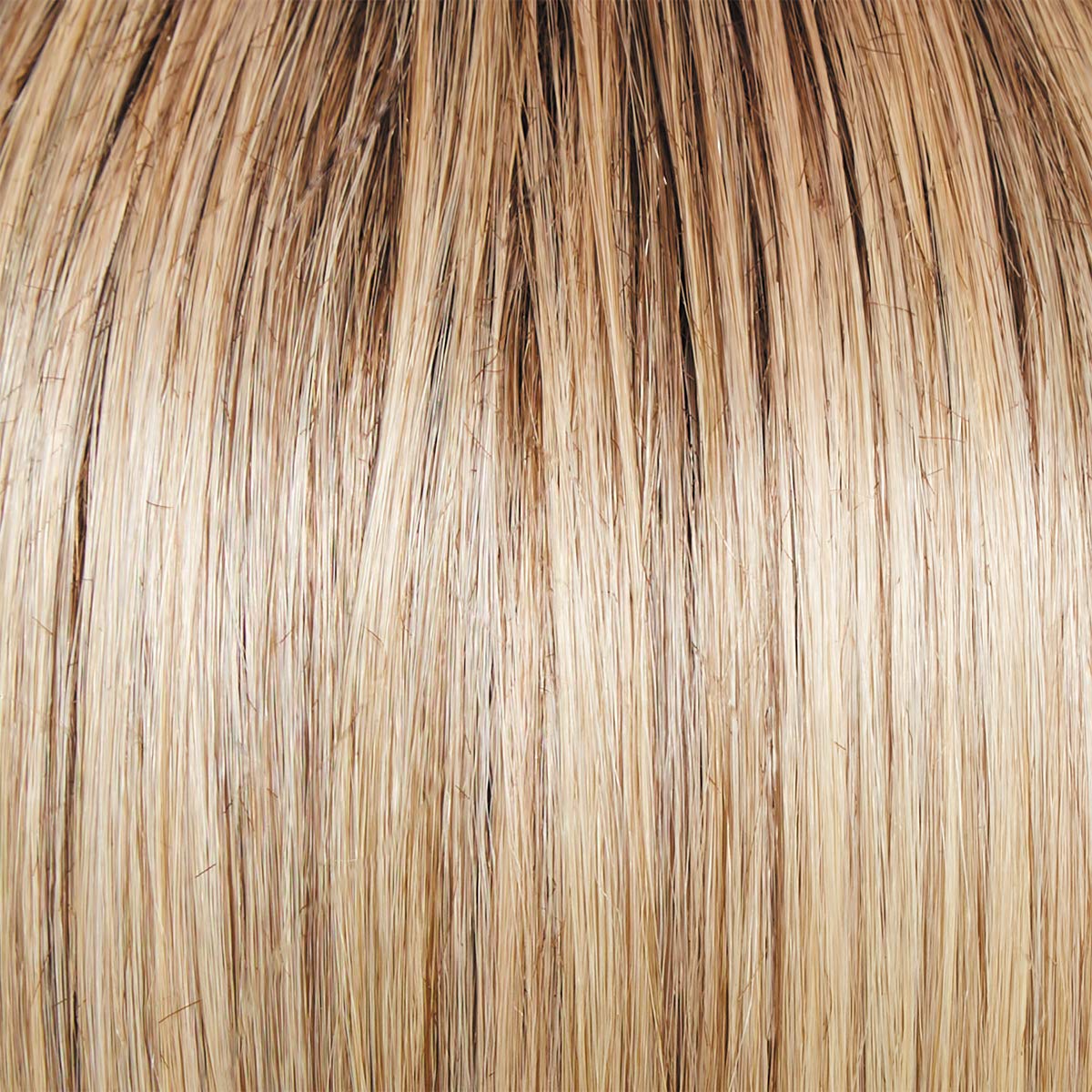 Well Played Women's Professional Wig in Blonde and Brown