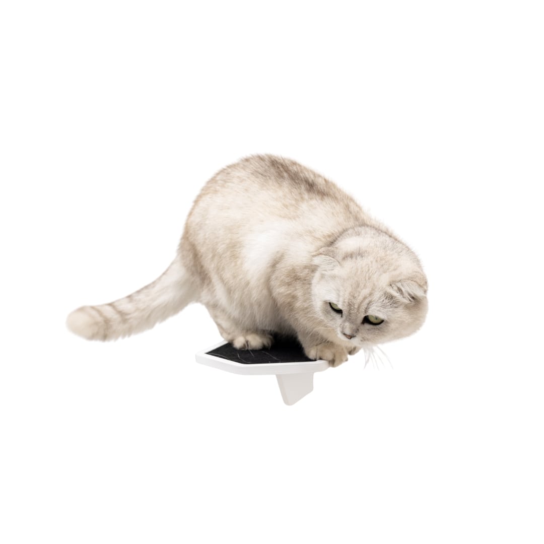 Stylish White Wooden Cat Steps for Wall Mounting