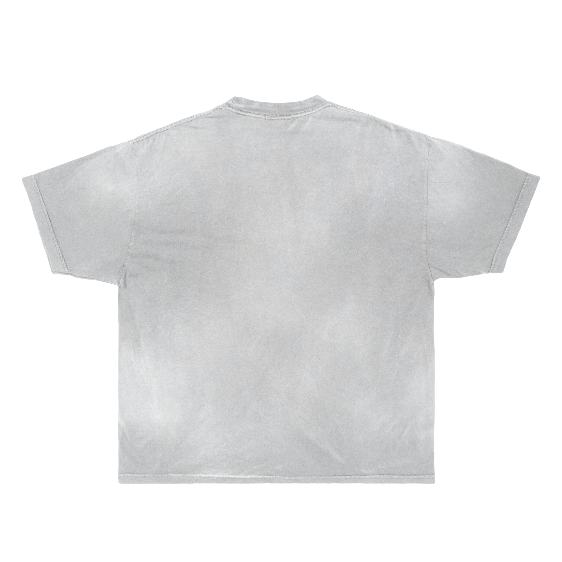 Half Tone Princess Graphic Streetwear Tee in Washed Black - Image 4