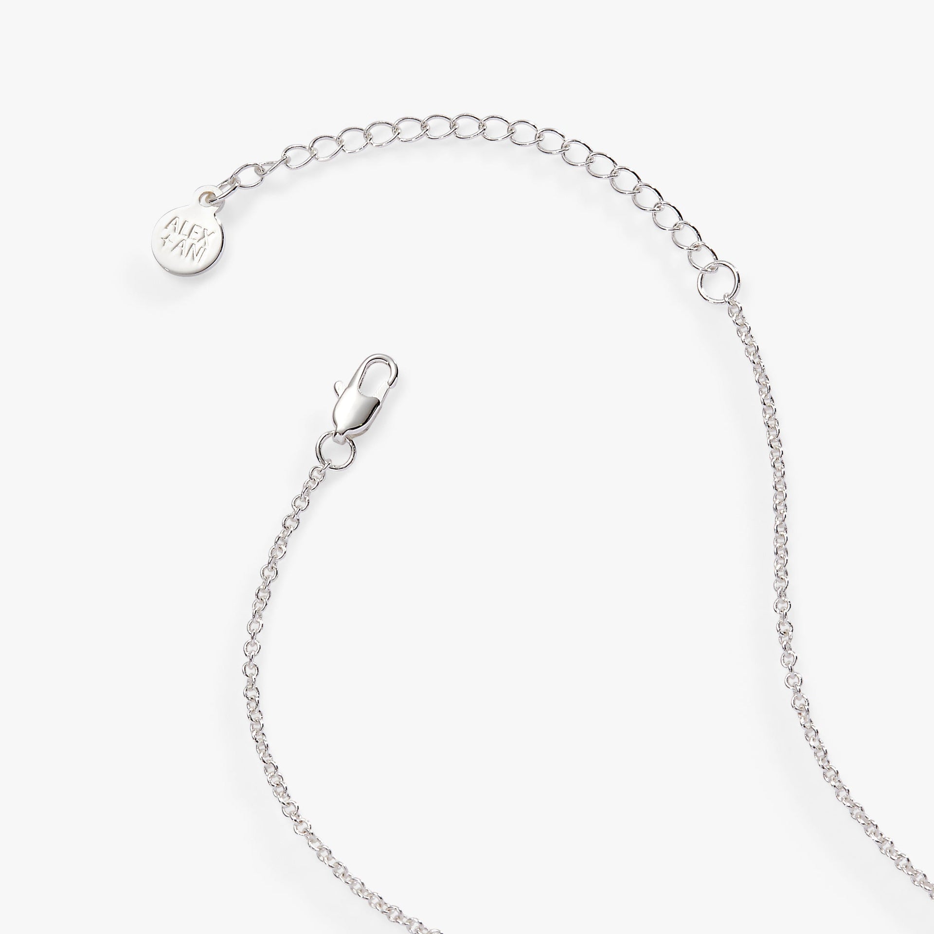 Wild at Heart Duo Charm Pendant Necklace in Silver Tone