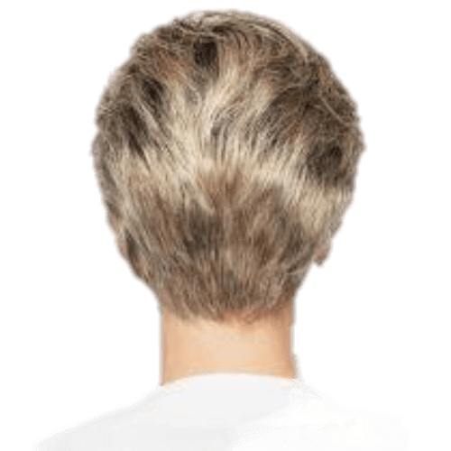 Winner Elite Wig: Sophisticated Lace Front Women's Hairpiece