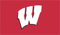 Wisconsin Badgers