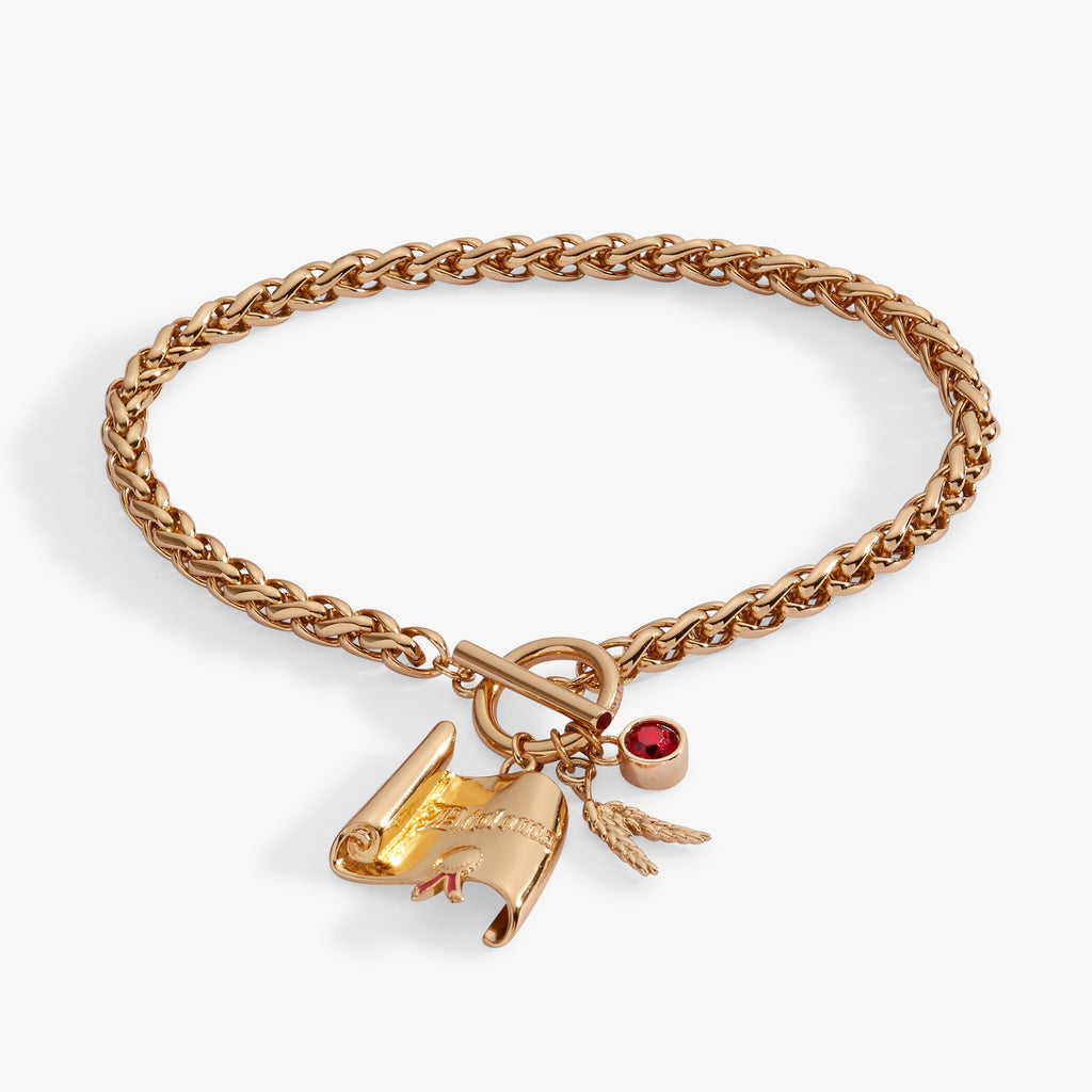 Wheat chain toggle bracelet featuring a ruby red stone, a wheat charm, and an engraved diploma charm inspired by The Wizard of Oz.