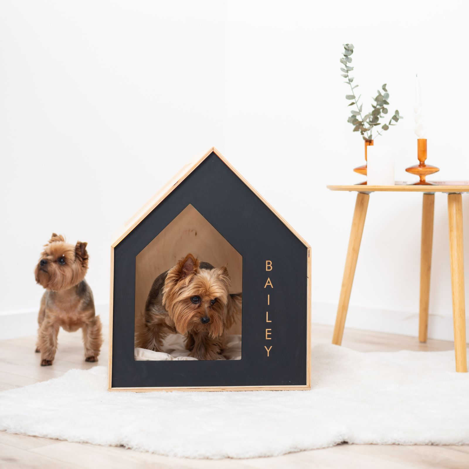 Durable Booth-Style Wooden Dog House in Classic Black