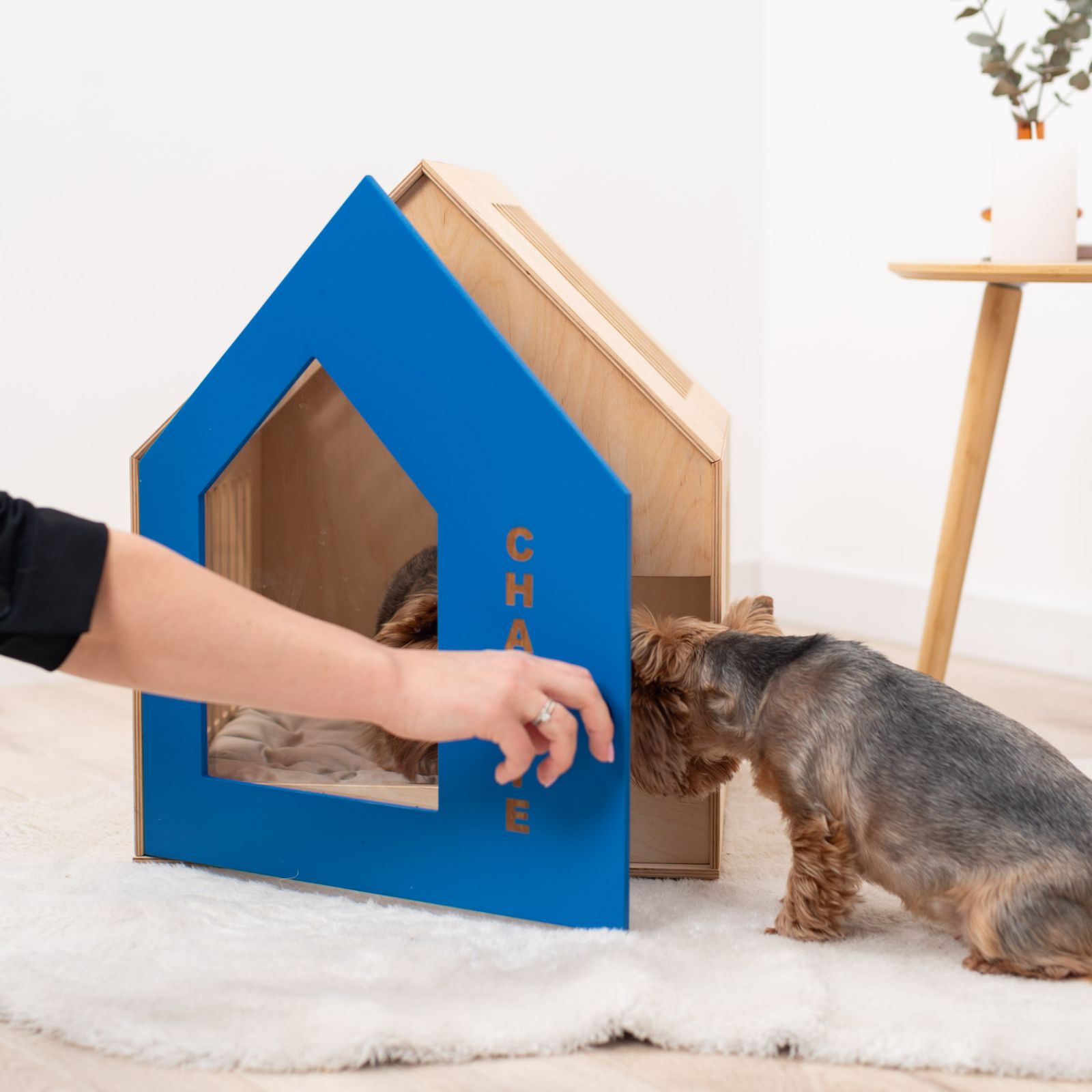 Booth-Style Wooden Dog House in Vibrant Blue for Outdoor Comfort