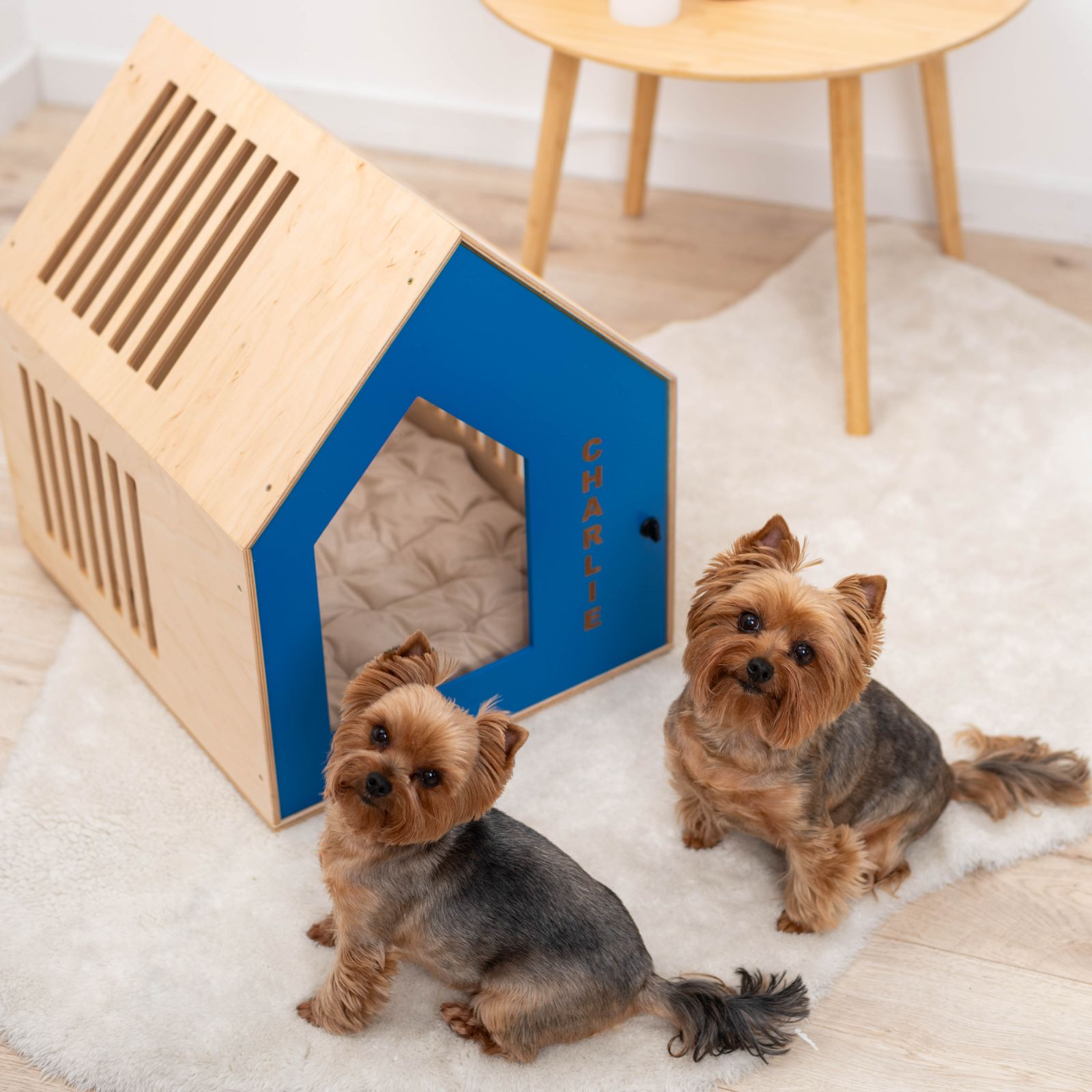 Booth-Style Wooden Dog House in Vibrant Blue for Outdoor Comfort