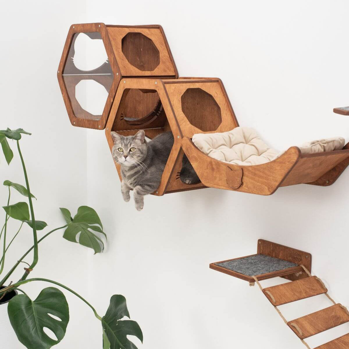 Modern Wooden Cat Wall Shelf in Oak and Black - Hexagon Design