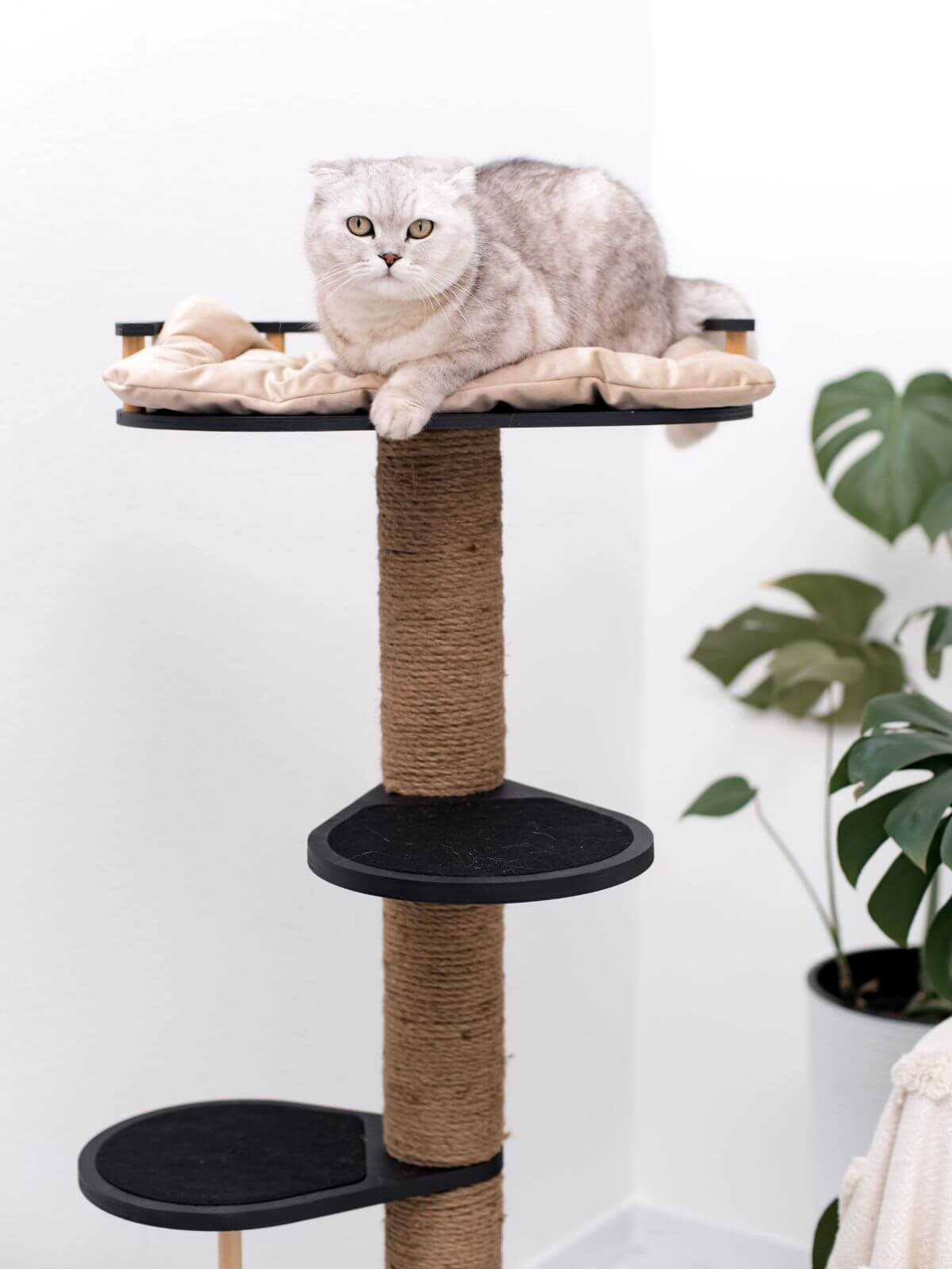 Modern Wooden Cat Tree with Plush Bed - Minimalist Feline Furniture
