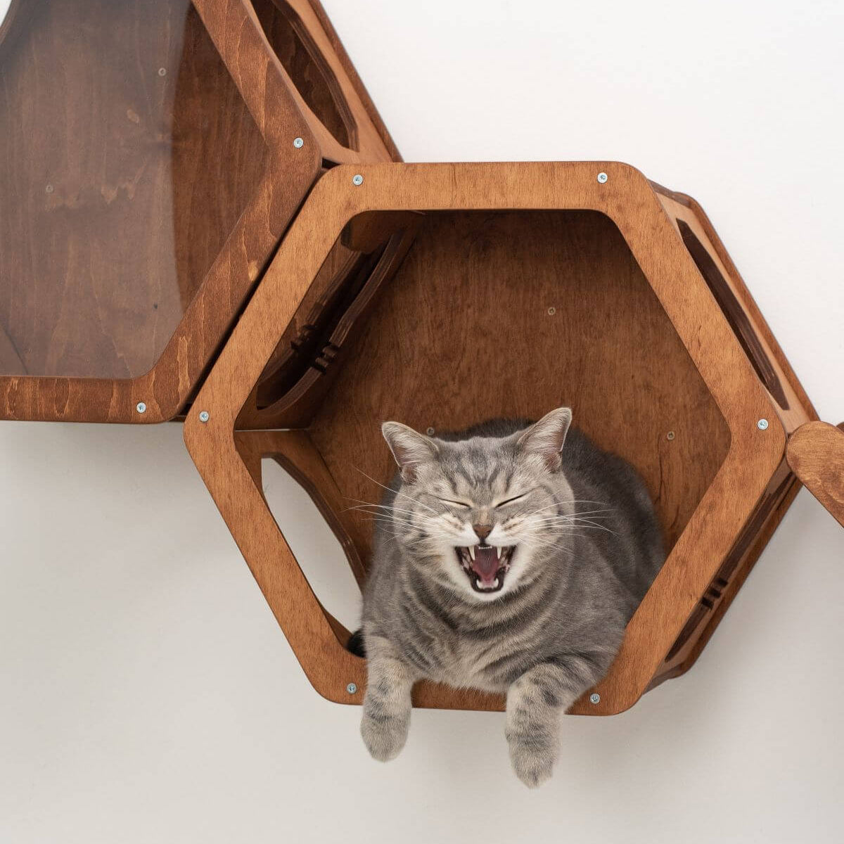Modern Wooden Cat Wall Shelf in Oak and Black - Hexagon Design