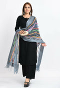 Grey Organza dupatta featuring intricate multi-thread embroidery and mirror work details.