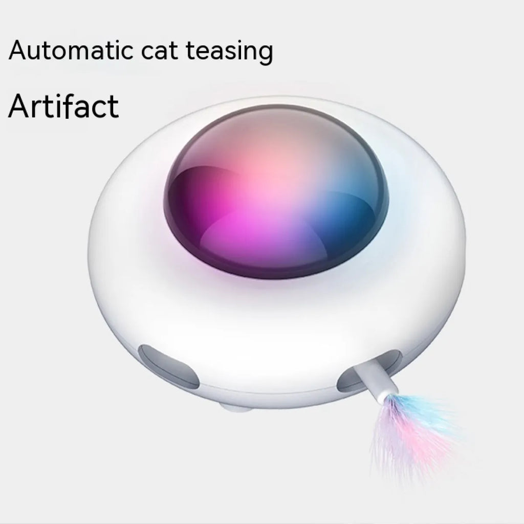 cat toy