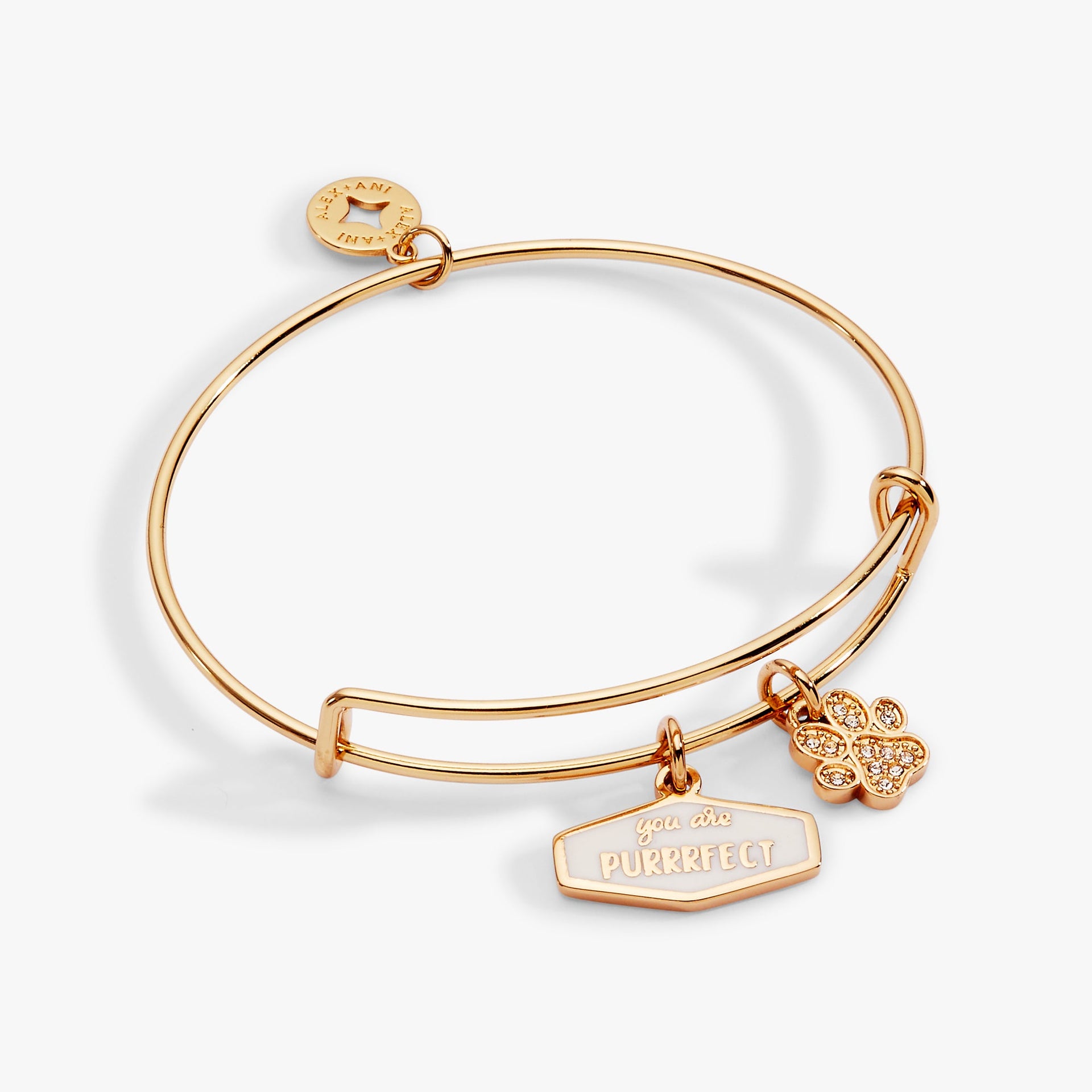 Bangle bracelet with 'You Are Purrrfect' enamel charm and pave paw print charm