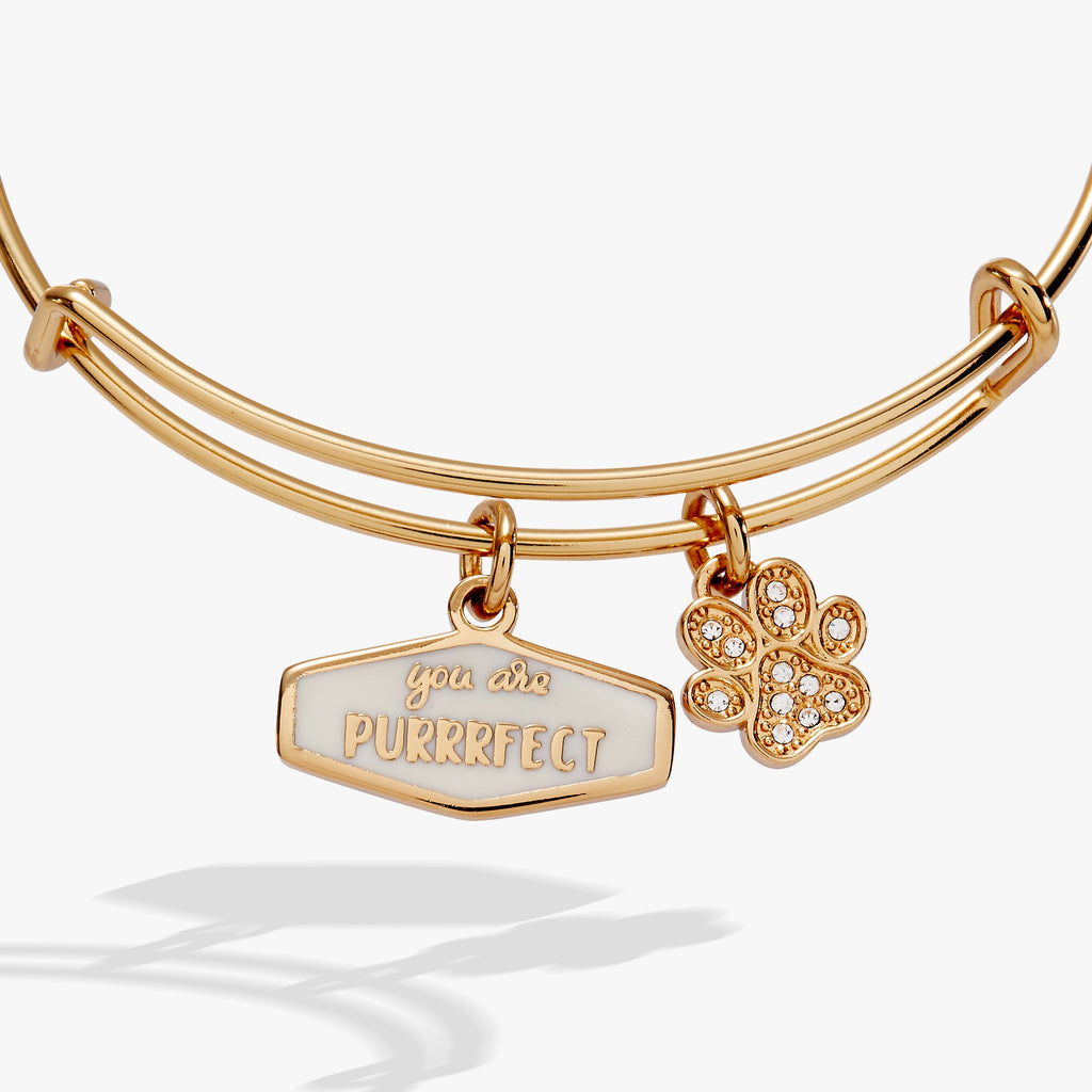 You Are Purrrfect Pave Paw Charm Bangle in Silver Tone