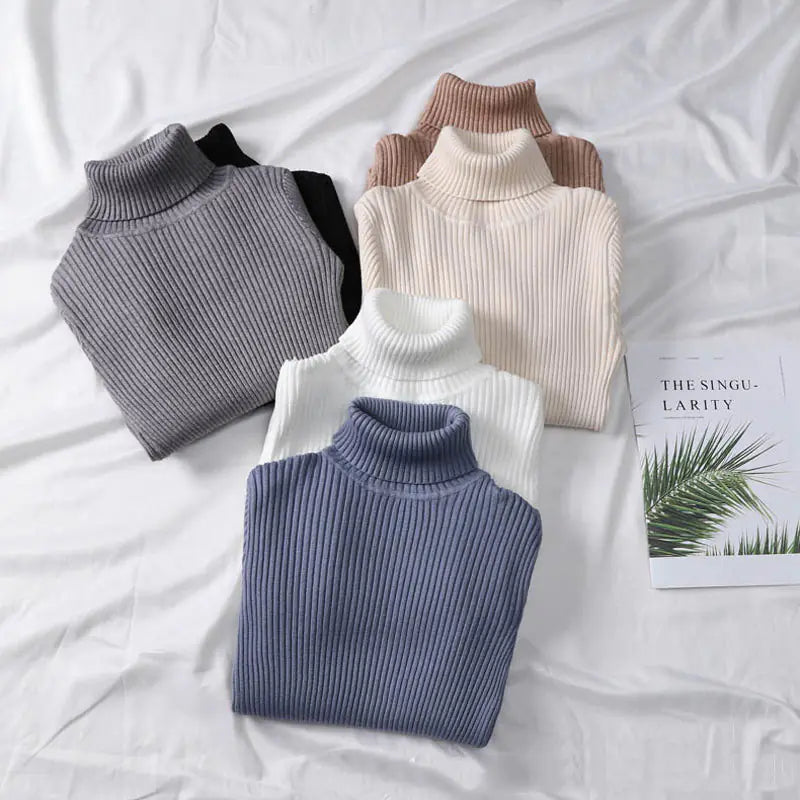 Women's Fitted Turtleneck Sweater for Fall/Winter